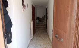 IMG_20250211_114903