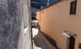 IMG_20250211_115452