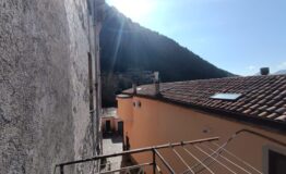 IMG_20250211_115816