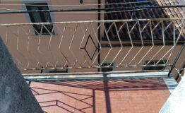 IMG_20250211_115858